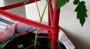 物価の高騰が止まらないですね💦　野菜などの値段もバカ高いですし、困ったものです。