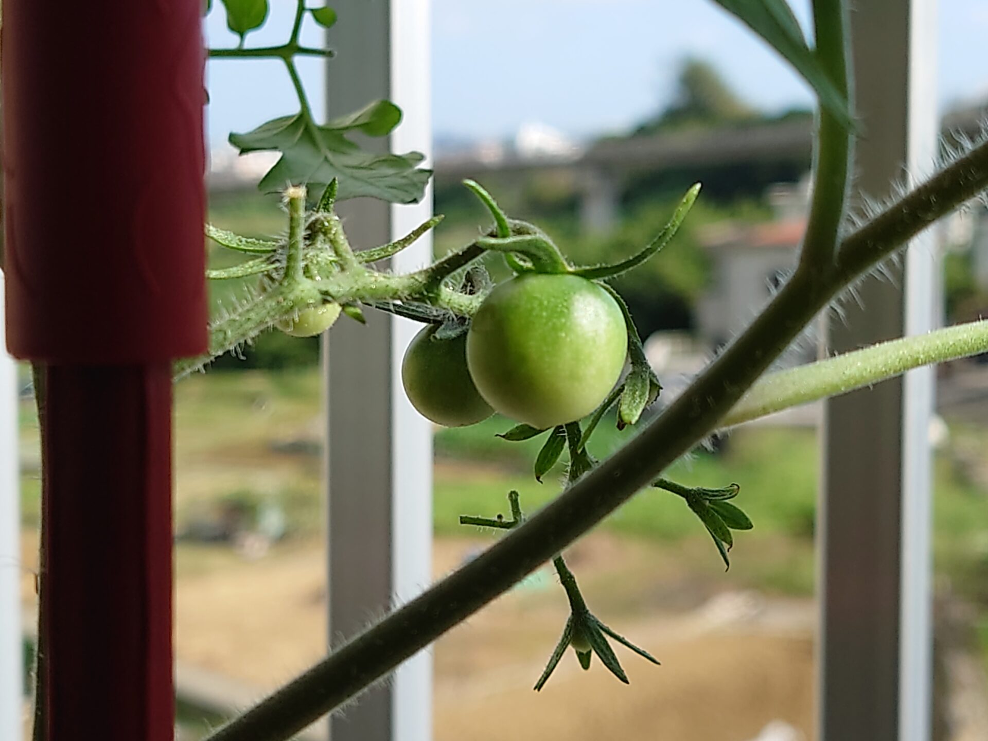 働けど給与上がらず、物価高騰が続きます💦　色んな物が高くなりすぎてますよね💨