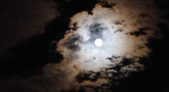 只今仕事中、月明かりが怪しい感じですがスマホでパシャッと撮しました