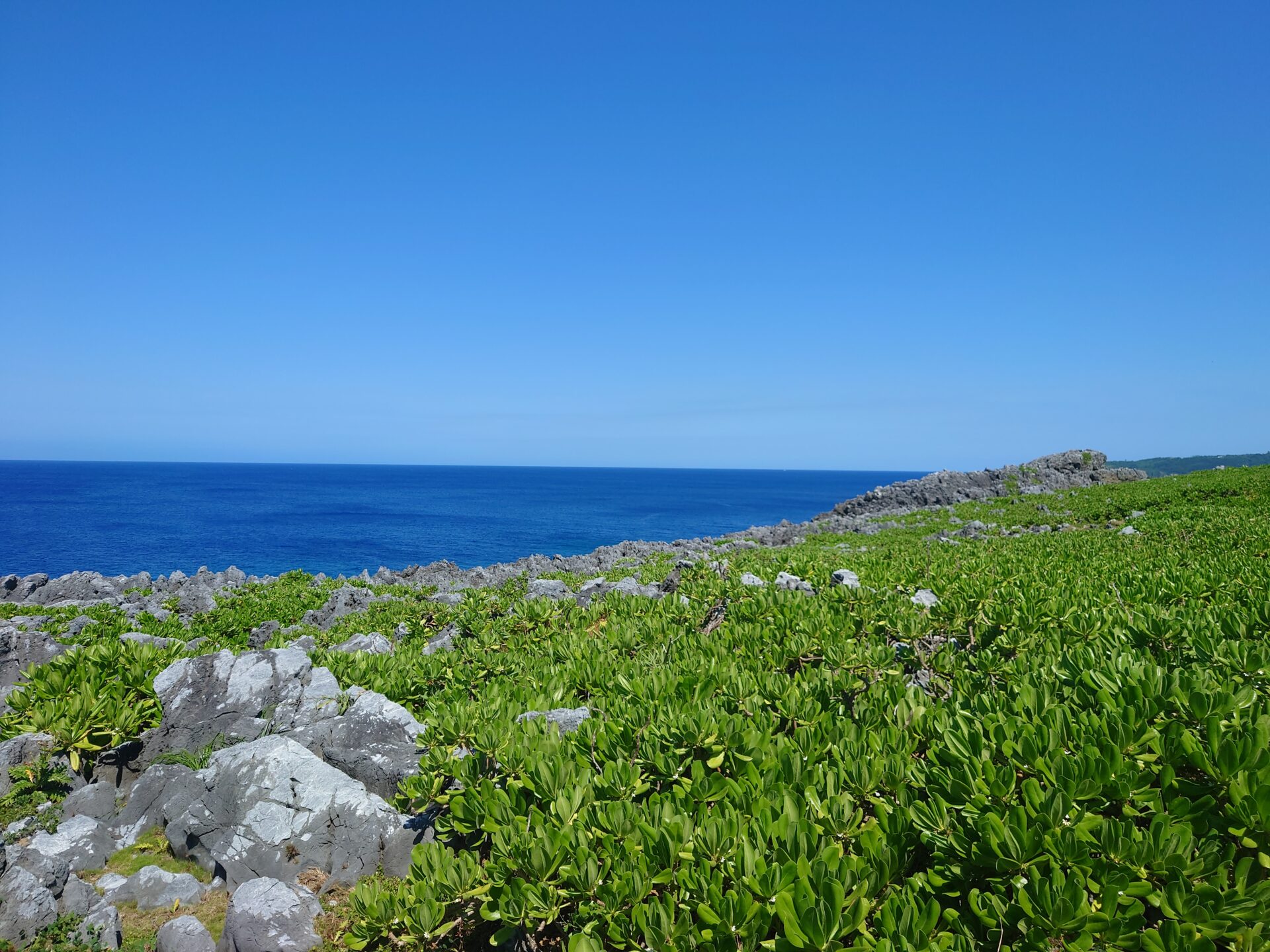 台風があけ、夏の兆しをみせる沖縄は梅雨の雲も一緒に連れ去ったんじゃないか？とおもう気候です