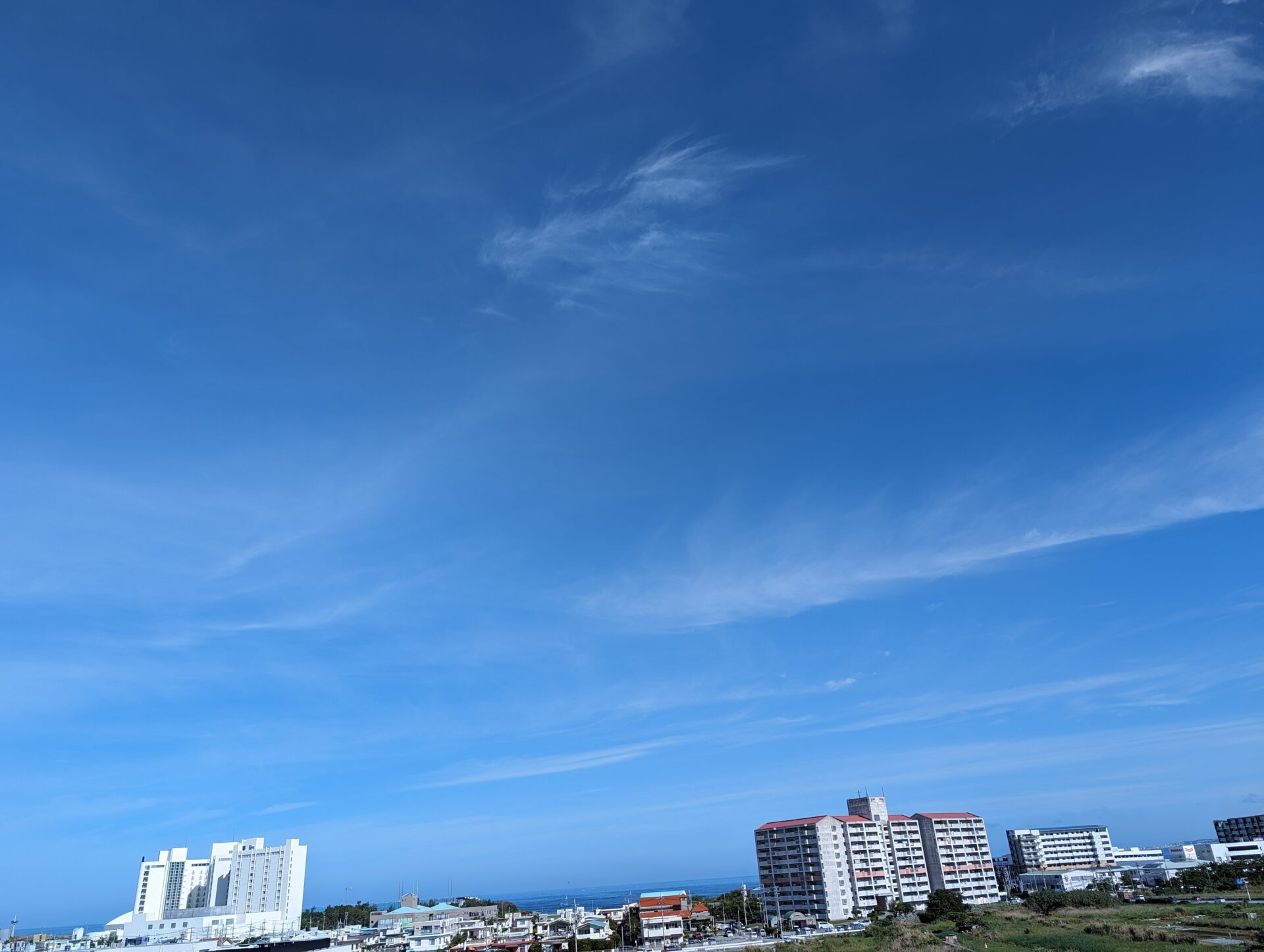 ブログあげるの遅れましたが、4月１日の午前中に上空を舞う龍をみたんですが🐲