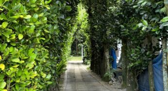 ゴールデンウィーク最終日充実と満喫は出来ましたでしょうか？そのギャグで疲労もたまった人達も😅