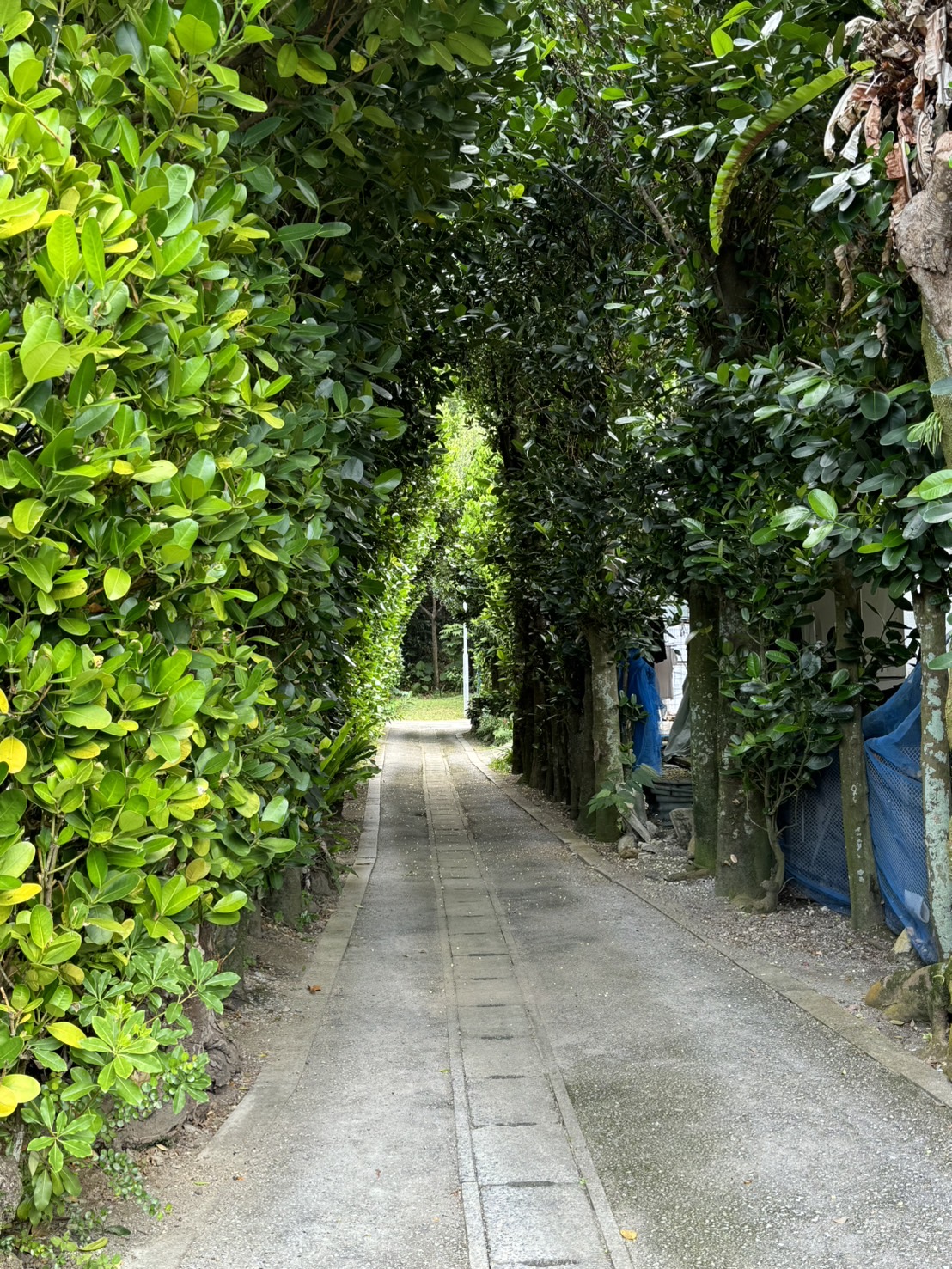 ゴールデンウィーク最終日充実と満喫は出来ましたでしょうか？そのギャグで疲労もたまった人達も😅