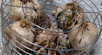 公開リンク: 黒ニンニクの健康効果と生ニンニクとの違い