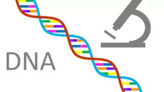 Dna G8624a1421 1920